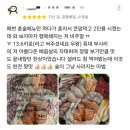 자연배달횟집 | 재료가 8할 숙성회 포장 후기 역곡 횟집 포장 맛집 10종 숙성회 구성에 감탄한 역곡맛집