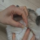 새롬약국 이미지