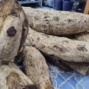 미인만들기 이미지