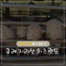 녹색목장 | 구례 지리산 치즈랜드 주차안내 수선화 개화시기 애견 동반 가능 4월 7일 방문 후기