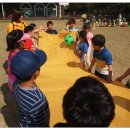 대지초등학교 이미지