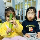 🥦🥒 싱싱한 채소와 놀아요! 알록달록 오감만족 채소 놀이 🥕🍄 이미지