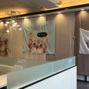 한스델리 태백점 이미지