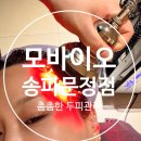 아늑 문정점 | 송파 두피관리 모바이오 송파문정점 75분 두피스케일링 후기
