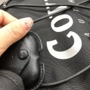 달미공원 | [봉사] 화성 유기견보호소 봉사일기 (2021/03/13)