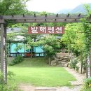 [ 특별 산행 ] 2016.6.25~26 양평 발해 펜션 1박2일 산행 및 건강 세미나^^ 이미지