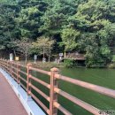 송해공원 제1주차장 | 송해공원 주차장 둘레길 / 걷기 좋은 길 *