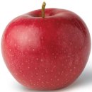 올데이피티 이미지