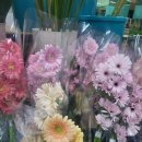 대가야꽃집 이미지