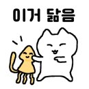 두레박산오징어 네이버블로그
