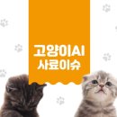네이처스로우 티스토리