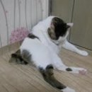 법인나라원예 이미지