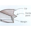 Re:파이럿포인트 드릴비트( pilot point drill bit )와 브래드 포인트 비트 (brad point drill bit)의 차이점이 무엇인가요? 이미지
