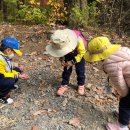 금란어린이집 이미지