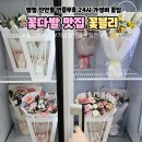 병점 진안동 세련된 꽃다발이 많은 꽃집 꽃블리에서 싱싱한 무늬 홍콩야자 화분 선물하기