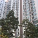 동부약국 이미지