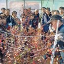 프로블루베리팜스 네이버블로그