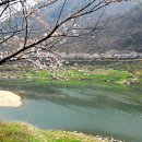 매화랜드 앞 이미지