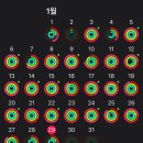 연말보다 더 바빴던 연초 / 부제 : 체력왕이 되.