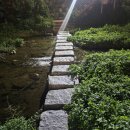 장신축산 이미지