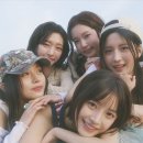 힛지스 카카오 검색결과