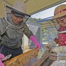 경남양봉산업 이미지