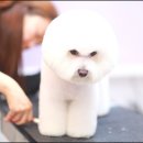 로라살롱 이미지