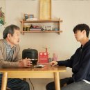 짐나빌레라 이미지