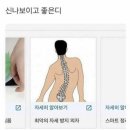 콜킴 네이버블로그