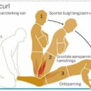 PT전문 레몬 이미지