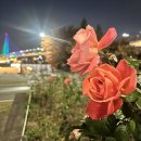 261026_상암_HRSAT_빌드업_8k_한강런 이미지
