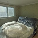 원선로 | 도배 잘하는 청년들 | 안산 도배 | 시공후기