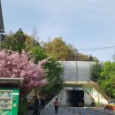 대원셀프세차장 이미지