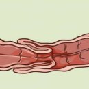 공감동물메디컬센터 이미지