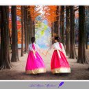 무궁화메디컬 이미지