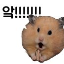 컷트맛집