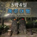 씨에스바이오 | 🛫제주도 3박 4일 여행 1일차 후기