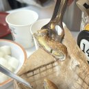 아라치 대구다사점