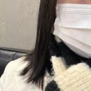 내돈내산) 저렴한 일산 붙임머리 손빠른 곳 :: 프린센스 붙임머리 후기