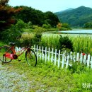 밝은마음 이미지