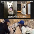 인숙농장 이미지