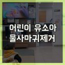 화순 미 의원 이미지