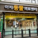 24시 이지동물의료센터 | 24시 부천이지동물의료센터에서 강아지 슬개골 탈구 검진 방문 후기