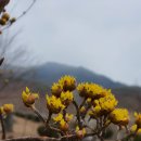 가북면사무소 이미지