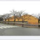 이조3리 이미지