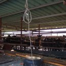 김기열 농장 이미지