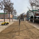 대전변동초등학교 이미지