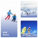 웰리힐리 스키장 이미지