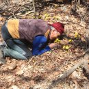 덕산 약수터 이미지