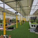 팜팜농장 | [아이랑 가볼만한곳] 예약 전쟁 뚫고 재방문한 '팜팜놀이터 딸기농장' 후기! (예약 팁/8인 방문)